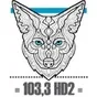 Logo de Coyote New Country - CHAA-HD2