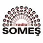 Logo de Radio SOMEȘ