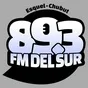 Logo de FM Del Sur 89.3