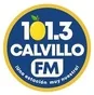 Logo de 101.3 Calvillo FM