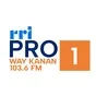 Logo de RRI - Pro 1 Way kanan