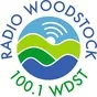 Logo de Radio Woodstock - WDST