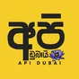 Logo de Api Dubai
