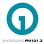 Logo de Radio UNO FM 101.3