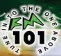 Logo de Radio Pakistan - FM 101 Lahore