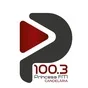 Logo de Rádio Princesa