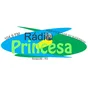 Logo de Rádio Princesa 104.9 FM