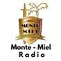 Logo de Monte MIel Radio
