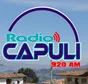 Logo de Radio Capulí Julcán