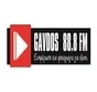 Logo de Γαύδος FM 88.8