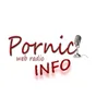 Logo de Pornic Radio - Infos
