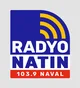 Logo de Radyo Natin Naval - DYSF