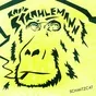 Logo de radio-strahlemann