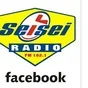 Logo de Radio SeiSei