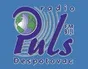 Logo de Puls Despotovac