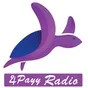 Logo de The Radio Network - APayy Radio
