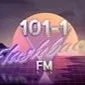 Logo de 101-1 Flashback FM