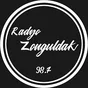 Logo de Radyo Zonguldak 98.7
