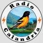 Logo de Radio Calandria