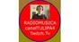 Logo de canalTULIPA4