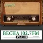 Logo de Весна