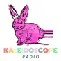 Logo de Kaleidoscope