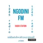 Logo de Ngodini fm