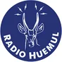 Logo de Radio Huemul