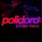 Logo de Polidoro FM