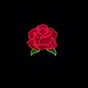 Logo de Pop Vibe