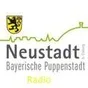 Logo de Nec-Radio