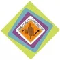 Logo de Radio Couleur Chartreuse