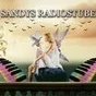 Logo de Sandys Radiostube