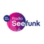 Logo de Radio Seefunk - 90er-pur