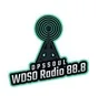 Logo de DPS Radio - DPSSOUL